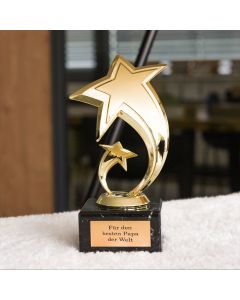 Der persönliche Star Award mit Gravur